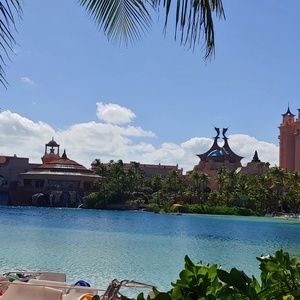 Meet your Posher, Jane